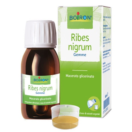 RIBES NIGRUM  MACERATO GLICERICO 60ML