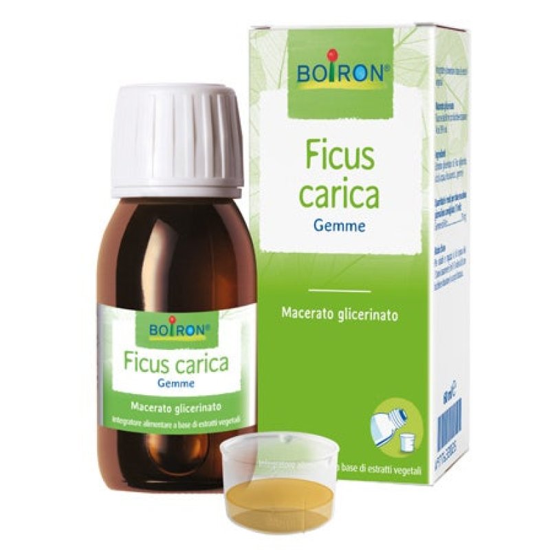 FICUS CARICA BOIRON MG 60ML INT